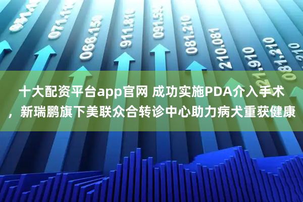 十大配资平台app官网 成功实施PDA介入手术，新瑞鹏旗下美联众合转诊中心助力病犬重获健康